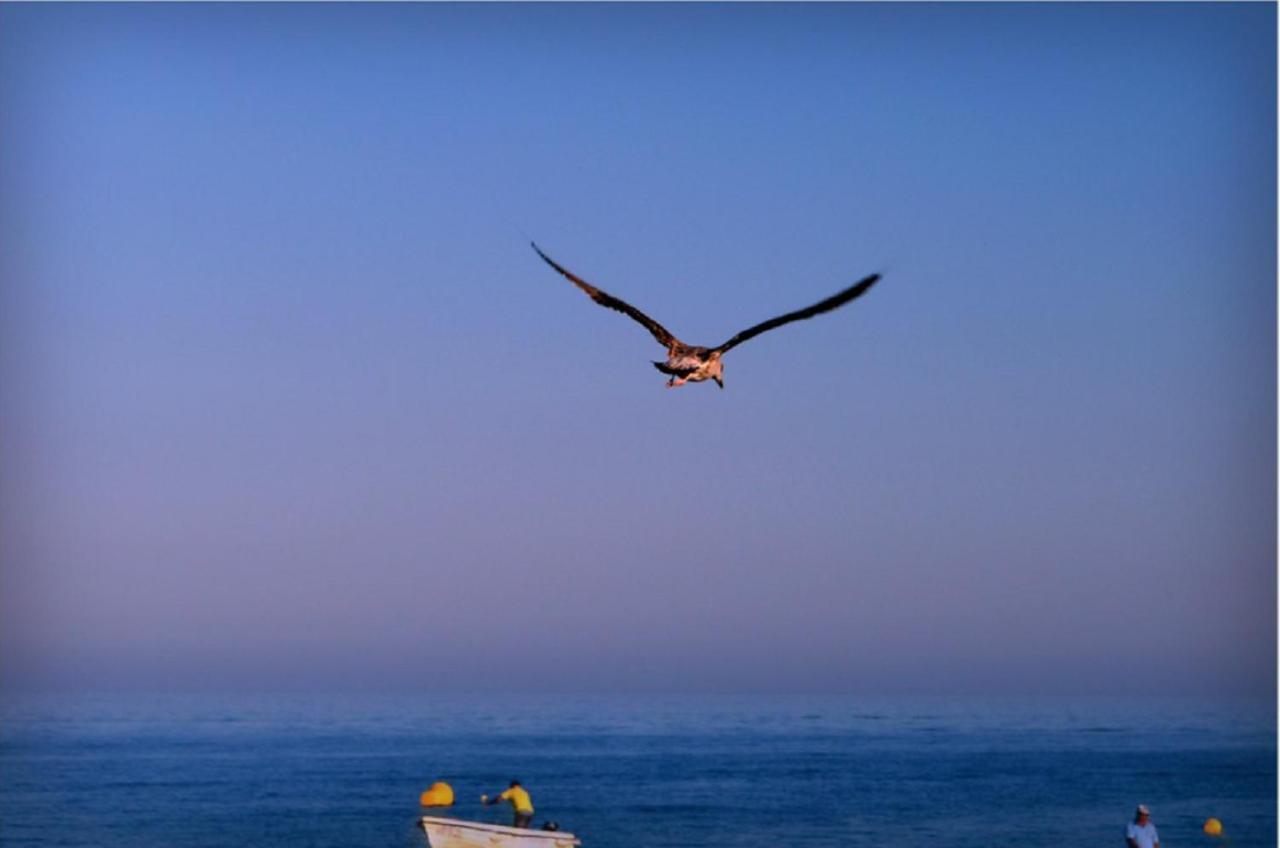Vila Marachique Alvor Exteriér fotografie
